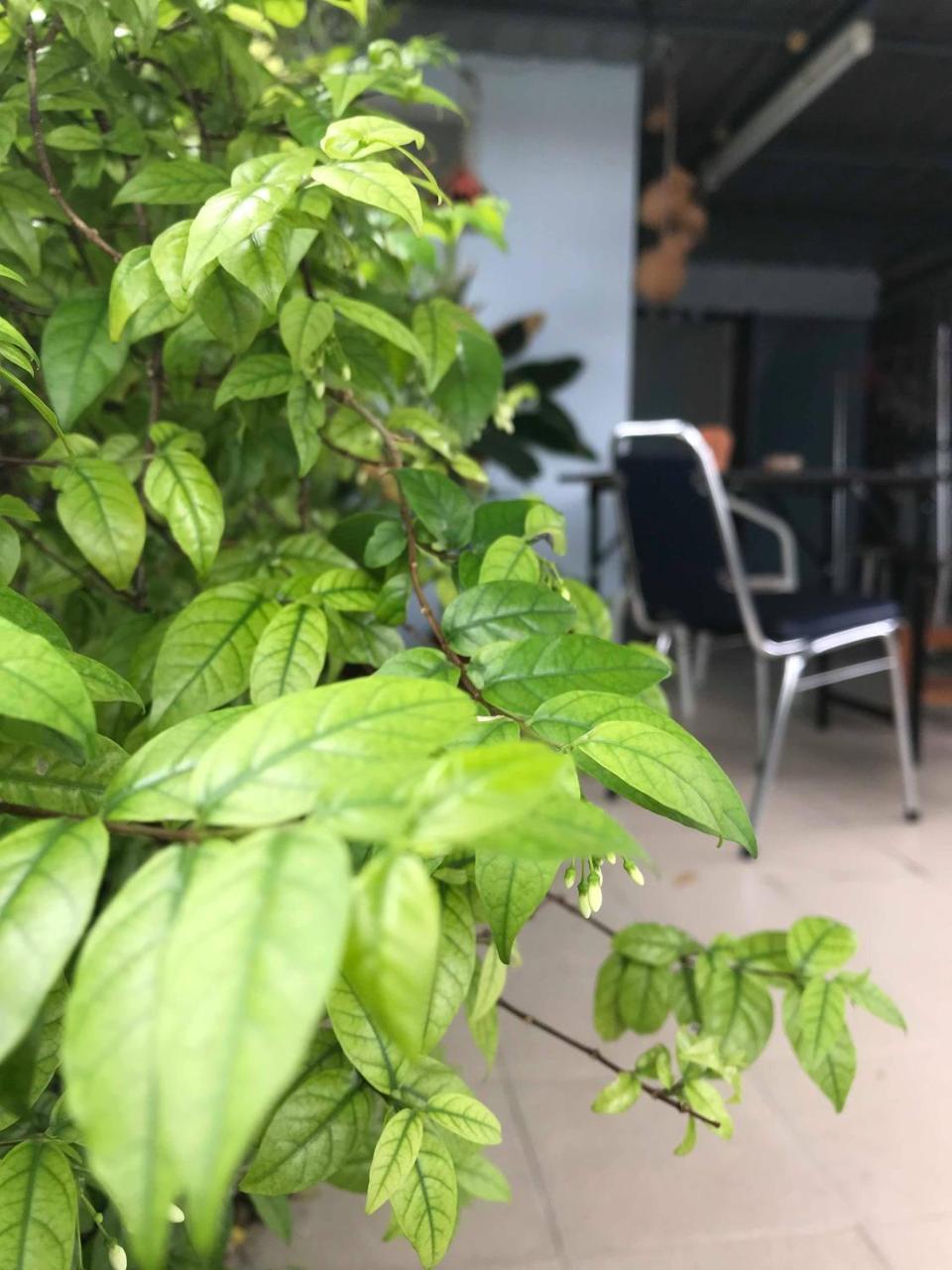 Jeesnail Guesthouse Bangkok Exterior photo