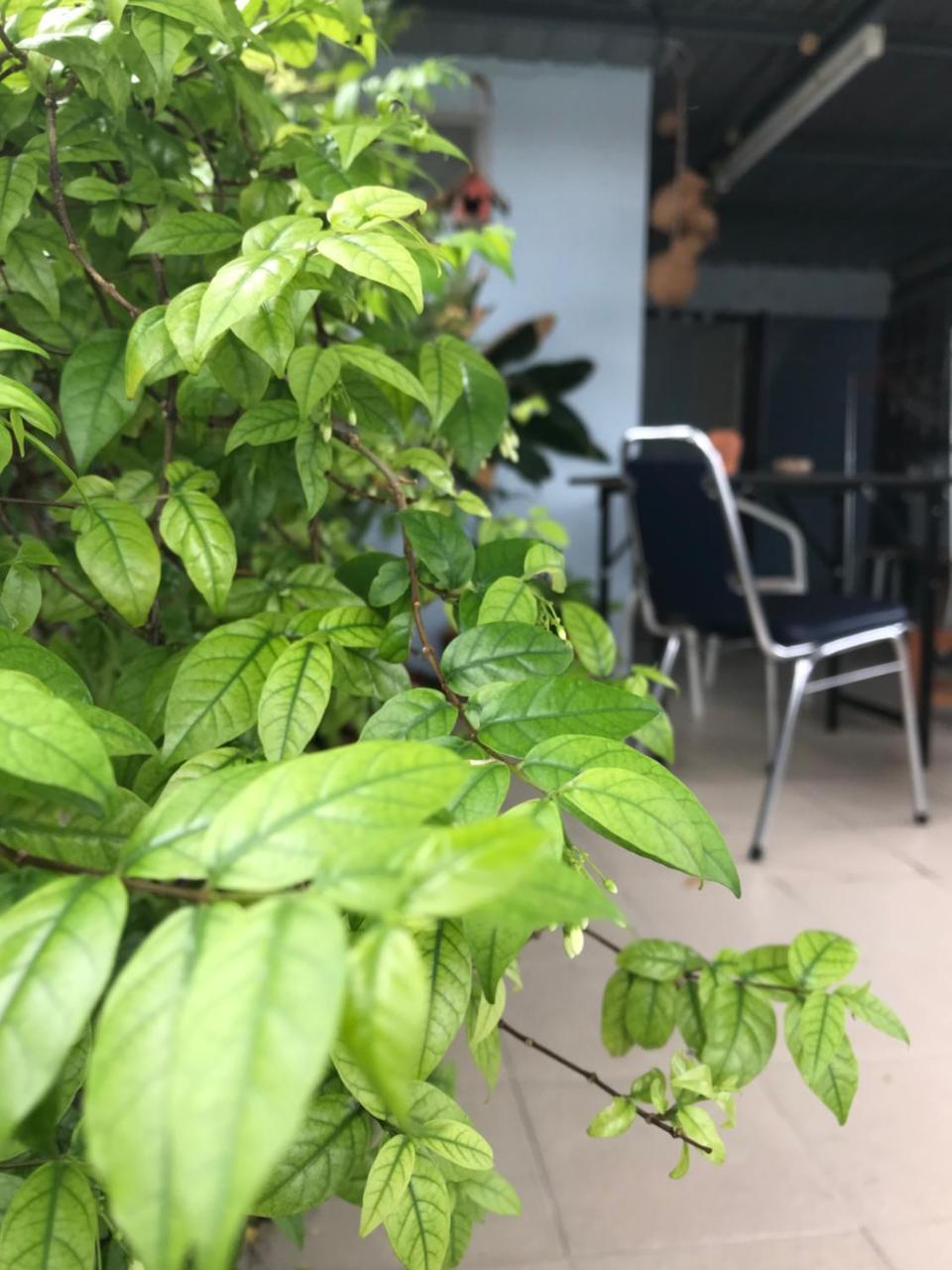 Jeesnail Guesthouse Bangkok Exterior photo